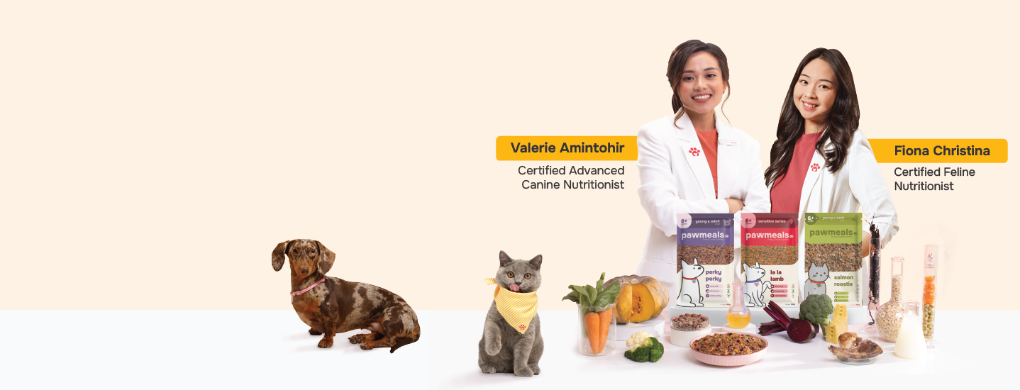 Nutrition with Purpose, Crafted for Your Pet